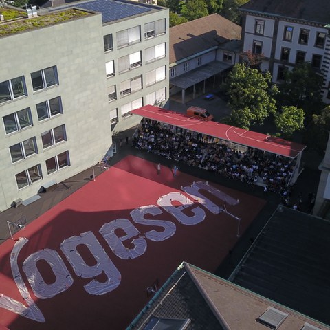 Arena Vogesen. Vergrösserte Ansicht